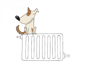 Pes na radiátoru